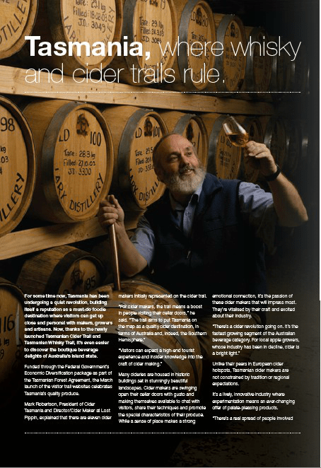 professional copywriter geelong, melbourne, copywriting geelong, editorial writing,