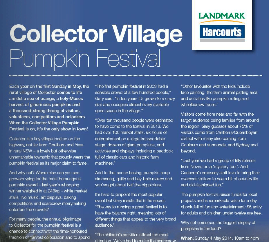 professional copywriter geelong, melbourne, copywriting geelong, editorial writing,