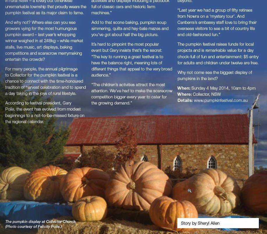 professional copywriter geelong, melbourne, copywriting geelong, editorial writing,