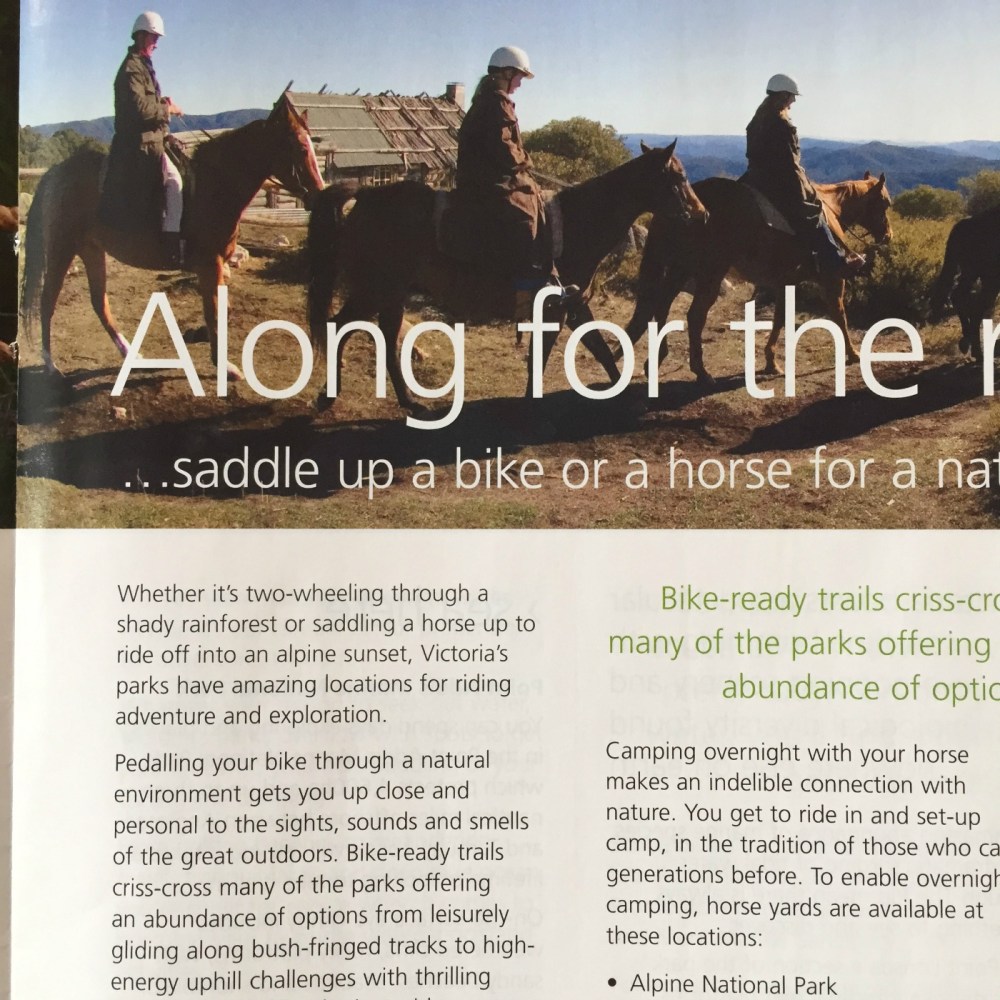 copywriter geelong, interpretive signage, parks victoria, visit victoria, camping victoria, editorial copywriter 