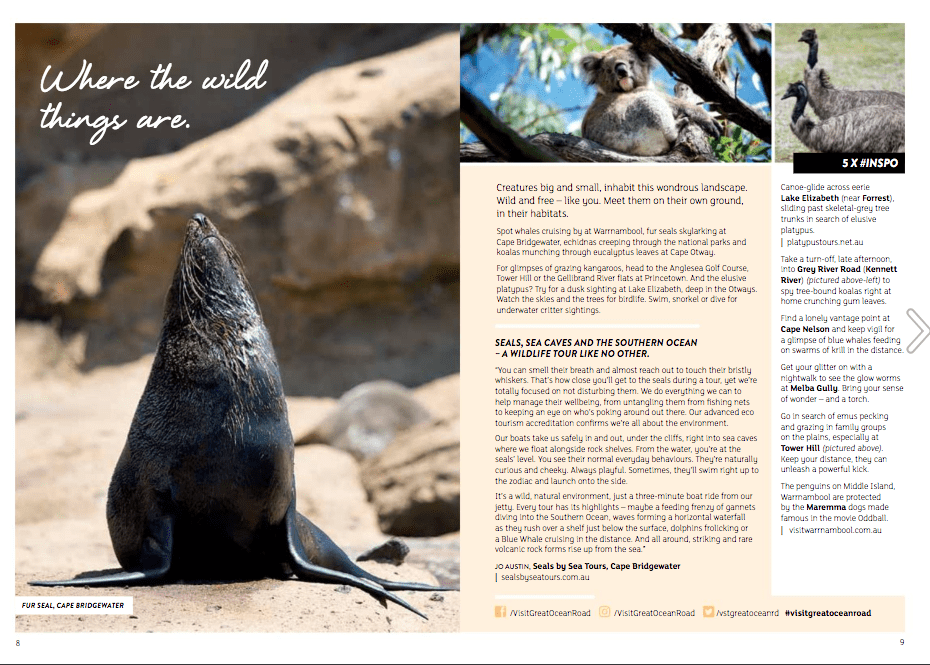 Screenshot 2018-08-07 15.31.44